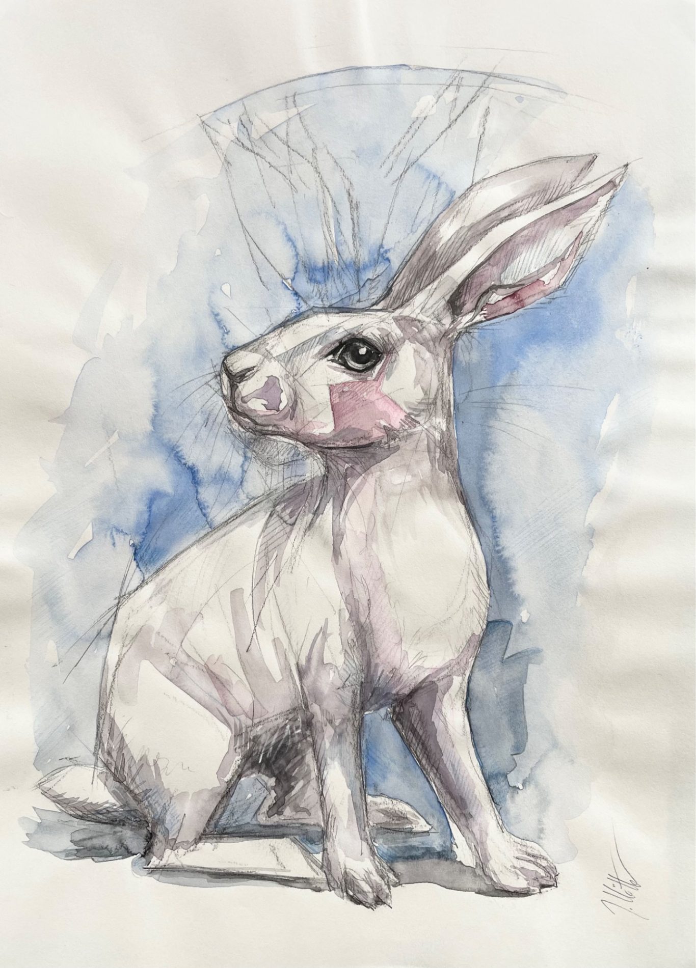 „follow the white rabbit“, Zeichnung, 2026